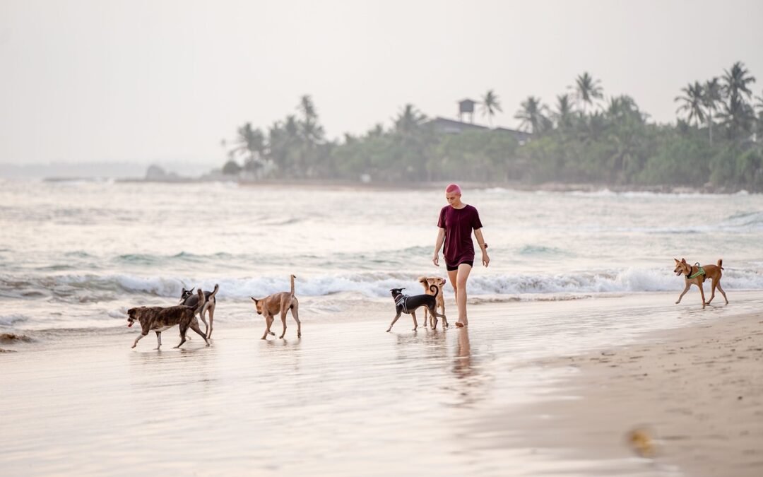 Uncover the best tail-wagging adventures at these KZN South Coast pet-friendly venues
